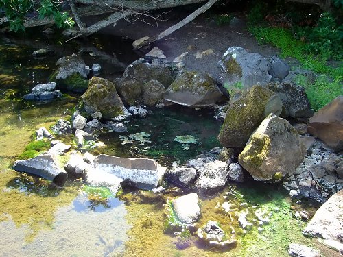 義経岩の湯