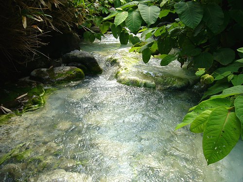 温泉の川