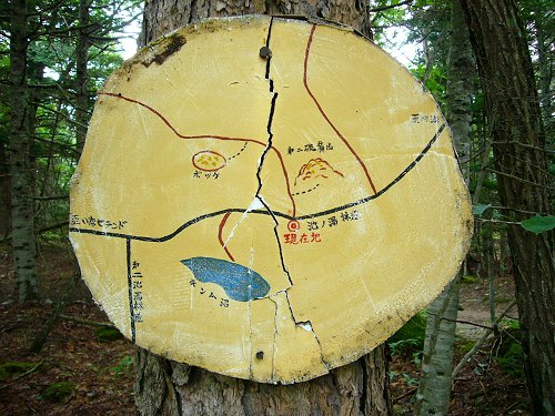 木製地図