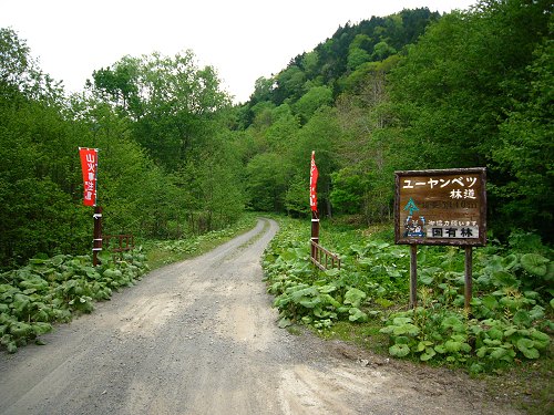 ユーヤンベツ林道