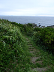 剣崎灯台の右側にある小道