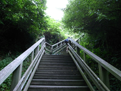 上へ上がる木製の階段