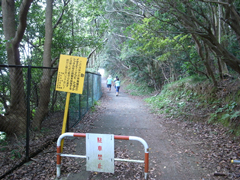 「タライ岬」へ抜ける上り坂の小道