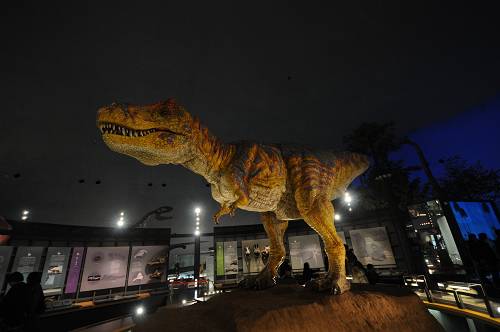 20110212恐竜リサイズ (28)-500s