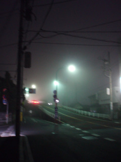 fog02.jpg