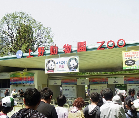 上野動物園02