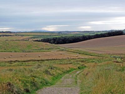 スコットランドの田舎風景
