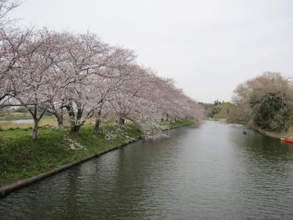 058_4-07川と桜