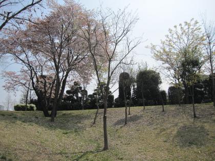 4-08-004桜