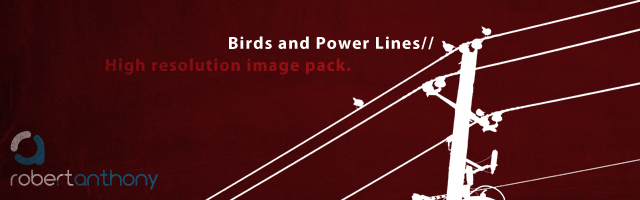birds-and-power-lines2