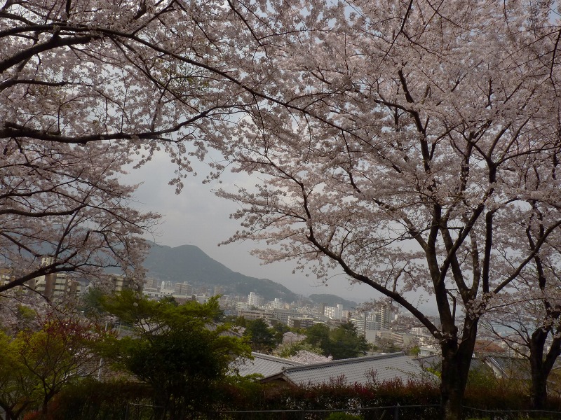景色と桜