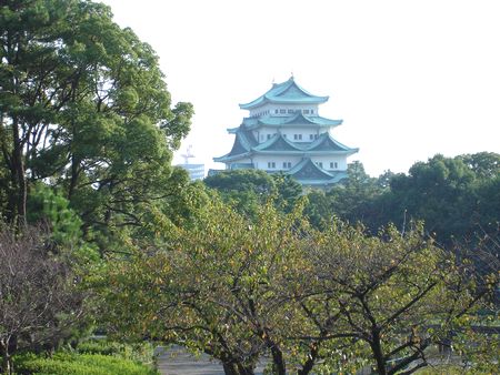毎日のすてき 名城公園から・・名古屋城