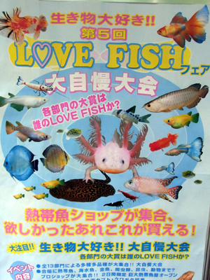 LOVE FISH 5