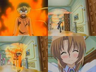 hayate42d
