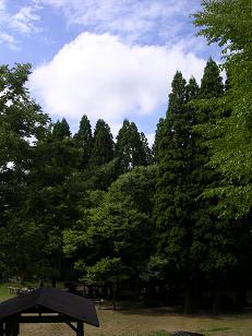 石川県 森林公園