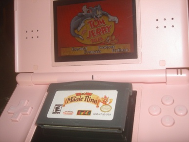 DS game