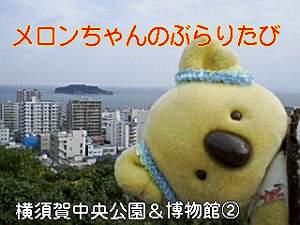 横須賀の海が一望できる、中央公園です。