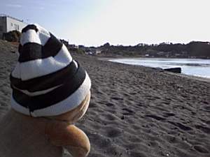 ラスカルさん初めての三戸浜海岸ロケ