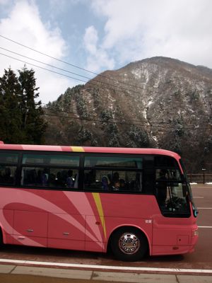 1ピンクのバス