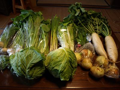 6有機野菜セット