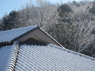雪景色1.24