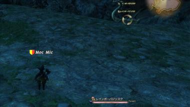 FFIV_SS5711.jpg