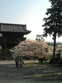 20080406155735
