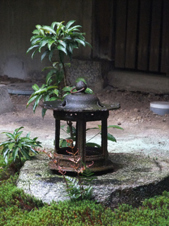 東福寺置物