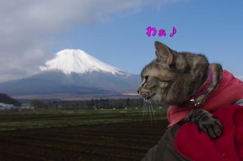 念願の富士山！02