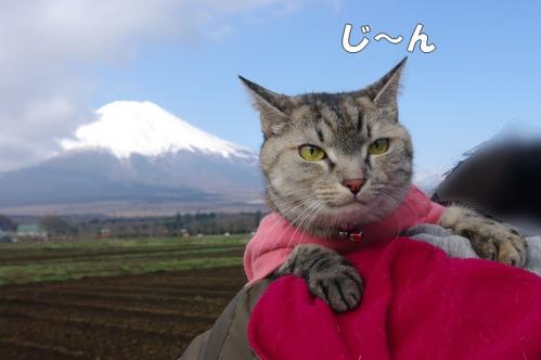 念願の富士山！05