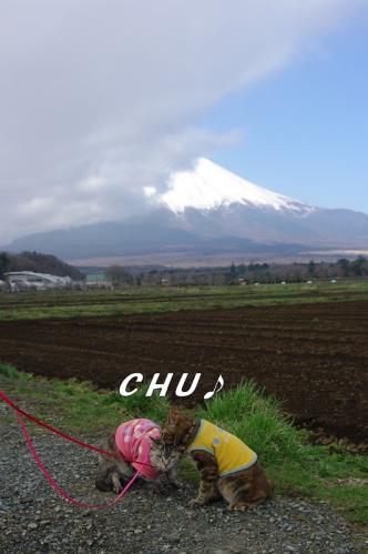 念願の富士山！08