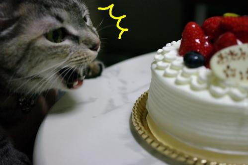 はなちゃんお誕生日会♪05