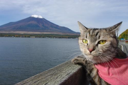 富士山やっほ～！05