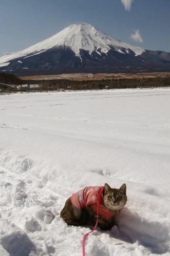 富士山バックに雪遊び♪03