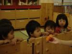 DSC01945.jpg