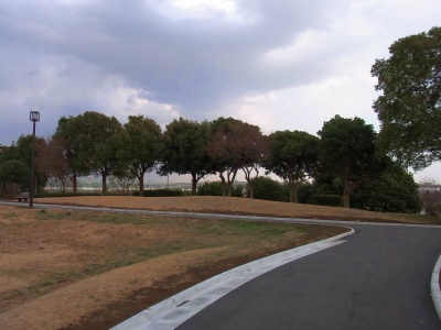 RIMG0004公園の風景、舗装された道路_400.jpg