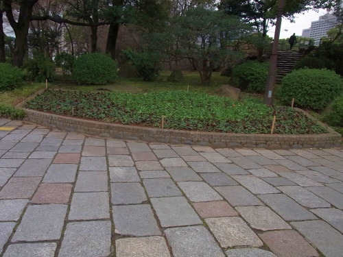 RIMG0070日比谷公園入口の花壇_500.jpg