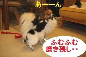 IMG_8637f.jpg