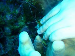 PC310013_20101231172249.jpg