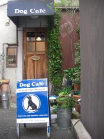 DOG CAFE