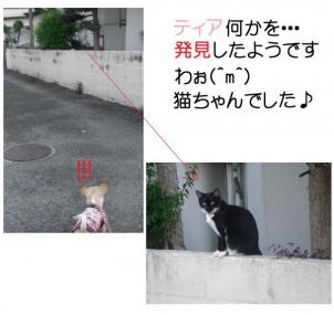 パトロール中♪