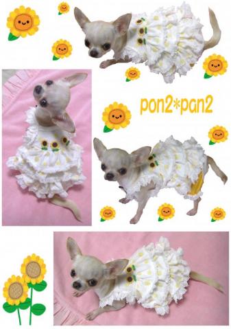 pon2*pan2　新作のお洋服♪
