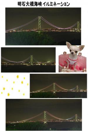 夜景。*:.。☆..。.(´∀`人)