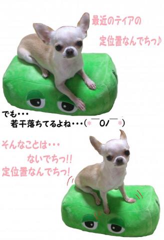 定位置でちっ(^・ェ・^)