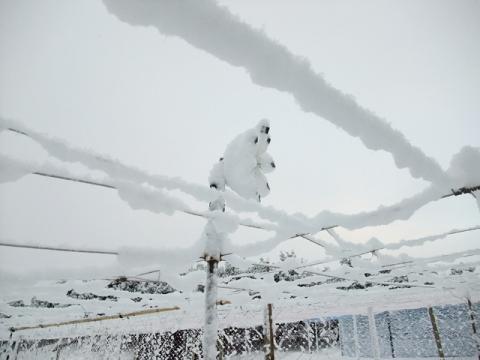 大雪2風車