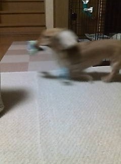 やめてよ!