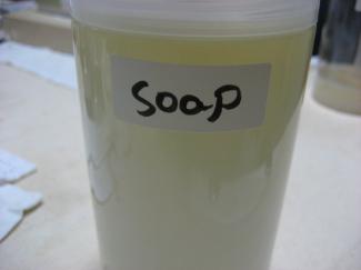 bluemorpho.soap.2010.9.23