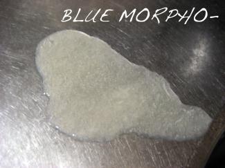 bluemorpho.soap.2010.12.9.2
