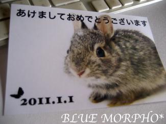 bluemorpho.newyearcard2011.2010.12.20