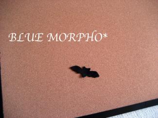 bluemorpho.dis.2010.12.28.1